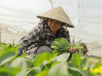 Agribisnis Tanaman Pangan dan Hortikultura