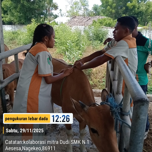 ‎Ciptakan Link and Match, 12  Jurusan Kompetensi Keahlian SMKN 1 Aesesa Siap Kolaborasi